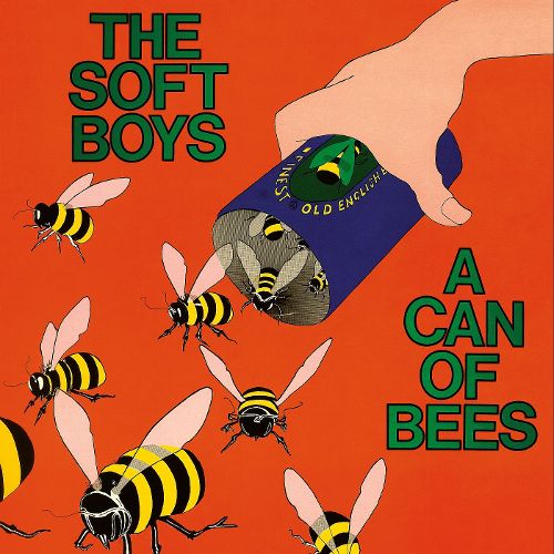 The Soft Boys - A Can Of Bees